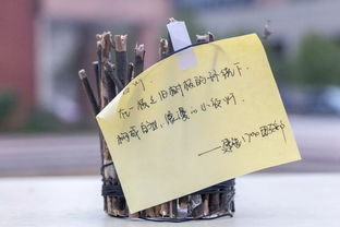 創(chuàng)意制作，一起開(kāi)開(kāi)腦洞